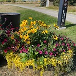 Shrubs, Flowers, Leaves Maintenance in a Park at 6717 37 St SW