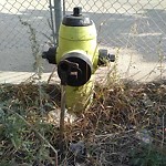 Fire Hydrant Concerns at 2369 Banff Tr NW