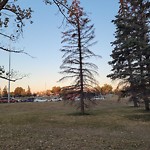 Tree Maintenance - City Owned at Haysboro Off Leash Area, 8416 14 St Sw, Calgary, Ab T2 V 3 G1, Canada