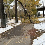 Pedestrian and Cycling Pathway - Repair at 709 Memorial Dr NE