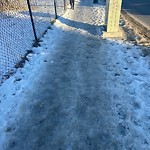 Pedestrian and Cycling Pathway - Repair at 229 17 Av SW