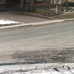 Debris on Street, Sidewalk, Boulevard at 1223 Rosehill Dr NW