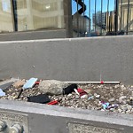 Debris on Street, Sidewalk, Boulevard at 400 4 Av SW