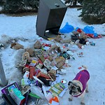 Debris or Overflowing Garbage Bins - in a Park at 4720 Vegas Rd NW