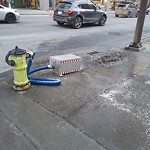 Fire Hydrant Concerns at 304 6 Av SW