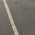 Pedestrian and Cycling Pathway - Repair at 1239 128 Av NE