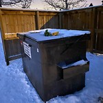 Debris or Overflowing Garbage Bins - in a Park at 4580 14 A St SW