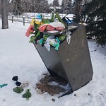 Debris or Overflowing Garbage Bins - in a Park at 59 White Oak Cr SW