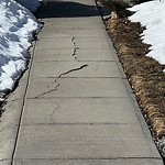 Sidewalk or Curb - Repair at 8 Auburn Sound Cr SE
