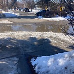 Catch Basin / Storm Drain Concerns at 601 15 Av NE