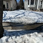 Sidewalk or Curb - Repair at 91 Millrise Wy SW