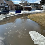 Catch Basin / Storm Drain Concerns at 39 Castlefall Gv NE