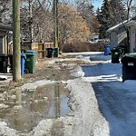 Backlane Maintenance at 2318 23 Av SW