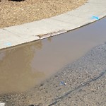 Catch Basin / Storm Drain Concerns at 3903 73 St NW