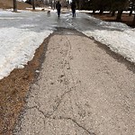 Snow On City-maintained Pathway or Sidewalk at 1699 John Laurie Bv NW