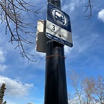 Bus Stop - Shelter Concern at 2997 Elbow Dr SW