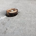 Sidewalk or Curb - Repair at 3 Stanley Pl SW