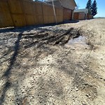 Backlane Maintenance at 240 Parkvalley Dr SE