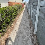 Sidewalk or Curb - Repair at 141 50 Av SE