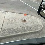 Sign on Street, Lane, Sidewalk - Repair or Replace at 4898 Barlow Tr NE