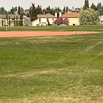 Coyote Sightings and Concerns at 64 Scurfield Wy NW