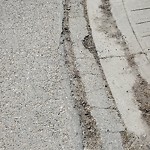 Sidewalk or Curb - Repair at Montgomery Blvd NW & Montgomery Rd NW Northwest Calgary Calgary