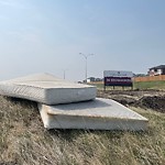 Debris on Street, Sidewalk, Boulevard at 22 Red Sky Me NE