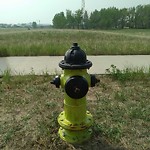 Fire Hydrant Concerns at 3841 80 Av NE