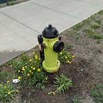 Fire Hydrant Concerns at 3560 17 Av SE