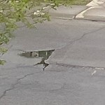 Pothole Repair at 273 Citadel Dr NW