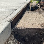 Sidewalk or Curb - Repair at 762 Woodpark Rd SW