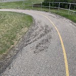 Pedestrian and Cycling Pathway - Repair at 5251 Ogden Rd SE