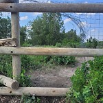Fence Concern in a Park at 10690 15 St SE