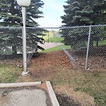 Fence or Structure Concern - City Property at 3800 Fonda Wy. Forest Lawn   Forest Heights
