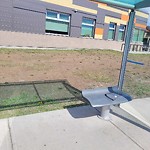 Bus Stop - Shelter Concern at 40 Saddlelake Wy NE