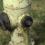 Fire Hydrant Concerns at 2121 Southland Dr SW