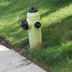 Fire Hydrant Concerns at 2210 Oakmoor Dr SW