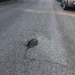 Pothole Repair at 6540 54 St NW