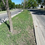 Mowing - Residential Boulevard up to 50km/h at 5 Chaparral Wy SE