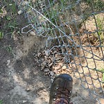 Fence Concern in a Park at 2024 60 St SE