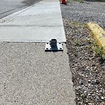 Sidewalk or Curb - Repair at 4932 Grove Hill Rd SW