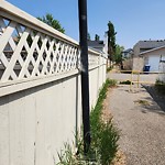 Fence or Structure Concern - City Property at 52 Chaparral Ridge Ci SE