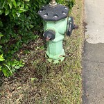 Fire Hydrant Concerns at 3424 Lakeside Cr SW