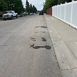 Debris on Street, Sidewalk, Boulevard at 60 Millpark Wy SW