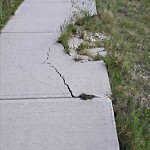 Sidewalk or Curb - Repair at 12346 Sarcee Tr NW