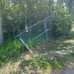Fence or Structure Concern - City Property at 9 Lissington Dr SW