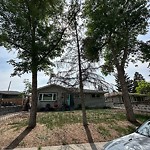 Tree Maintenance - City Owned at 23 Fawn Cr SE