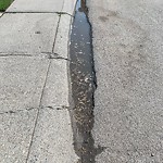 Sidewalk or Curb - Repair at 16 Woodfield Wy SW