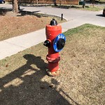 Fire Hydrant Concerns at 3229 56 St NE