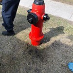 Fire Hydrant Concerns at 3219 56 St NE